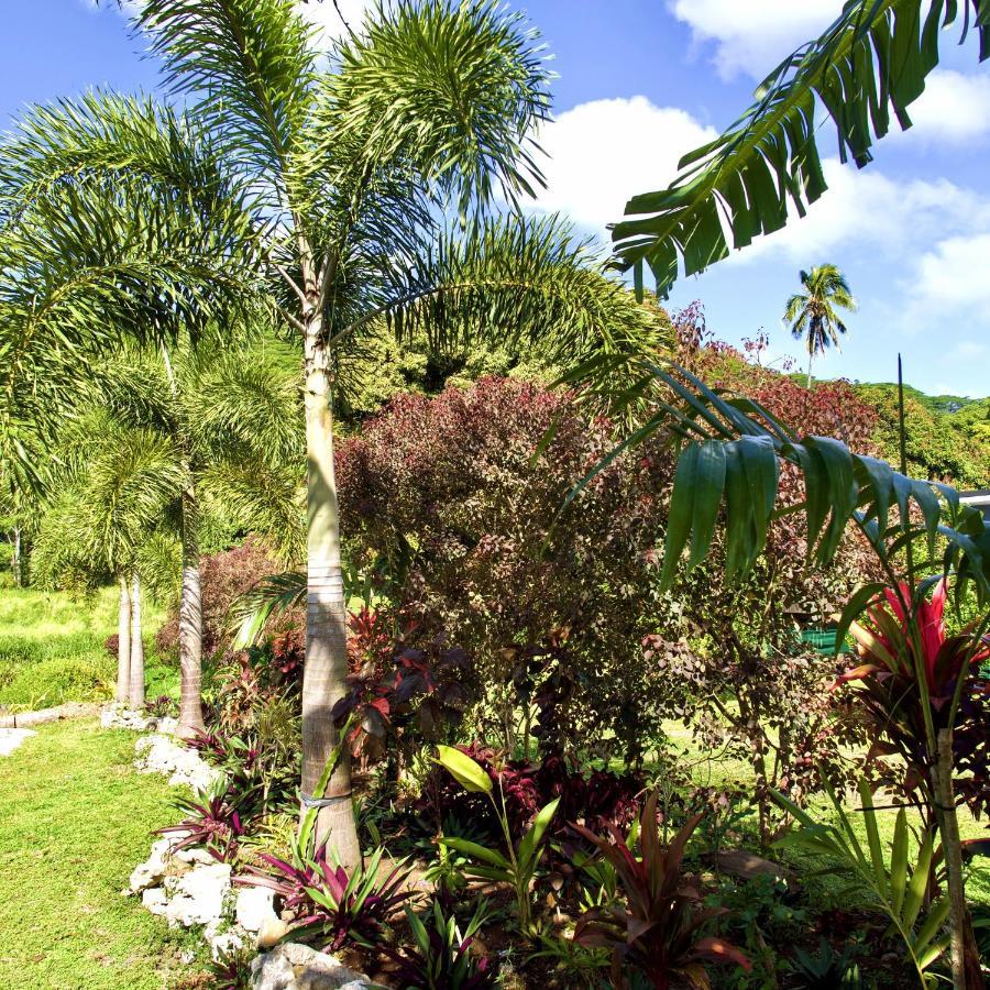 'Are Pepe One Bedroom Container Style Unit Rarotonga Exterior photo